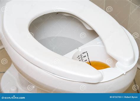 Urine Hat Stock Photos - Image: 8732703