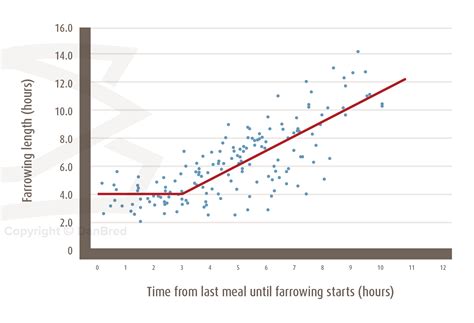 Farrowing – Procedures for success – DanBred Knowledge Hub