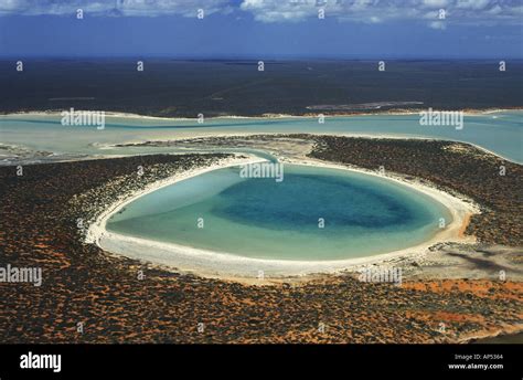 Große Lagune Australien Western Australia Shark Bay Francois Peron National Park Stockfoto, Bild ...