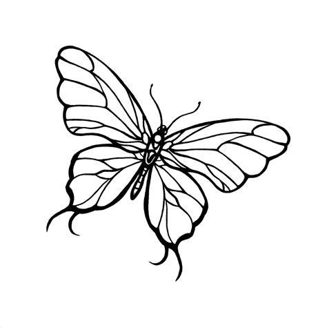 Butterfly Design Drawing at GetDrawings | Free download