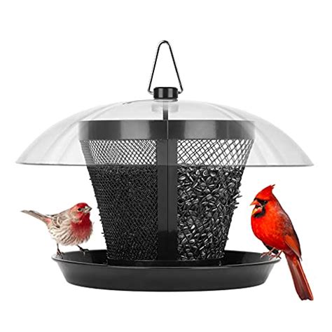 Which Best Bird Feeder Cardinals Should You Buy Now? - Spicer Castle