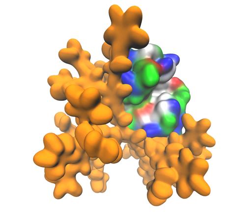 Scientists create multifunctional protein-polymer films