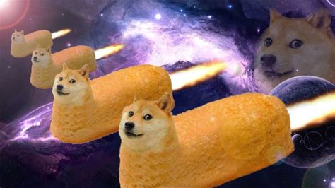 I nominate this as the most random picture ever. EVER #dogehumor | Funny doge, Doge, Doge meme