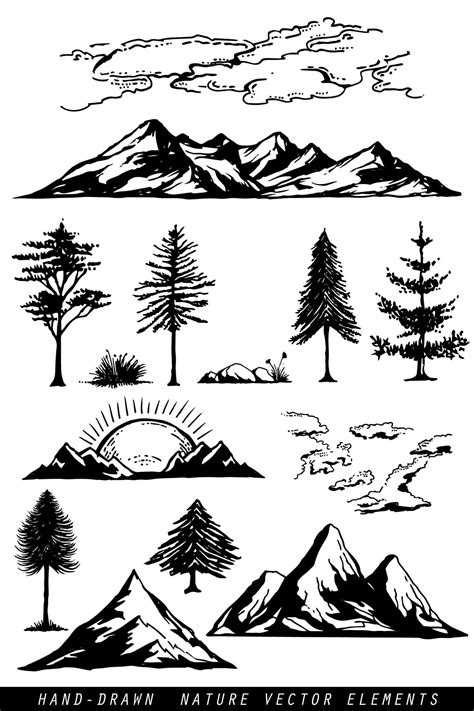 Simple Pine Tree Drawing at PaintingValley.com | Explore collection of Simple Pine Tree Drawing