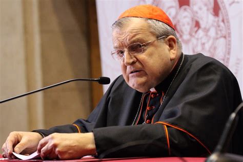 Update: Pope Francis Plans to Remove Cardinal Burke’s Salary and ...