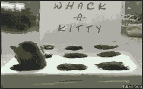 whack a mole gifs | WiffleGif