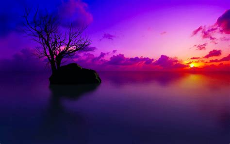 Sunset Wallpaper Desktop Free Download