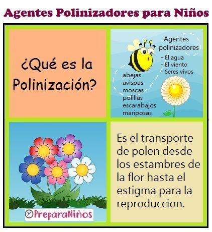 Polinización De Las Plantas