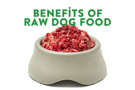 Understanding The 7 Major Benefits Of Raw Dog Food – Naturally Urban Pet Store · To Your Door