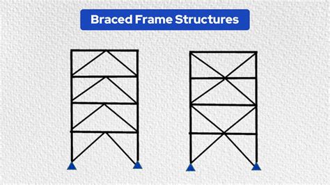 Explain The Structure And Types Of Echinodermata Flashcards Flashcards | My XXX Hot Girl