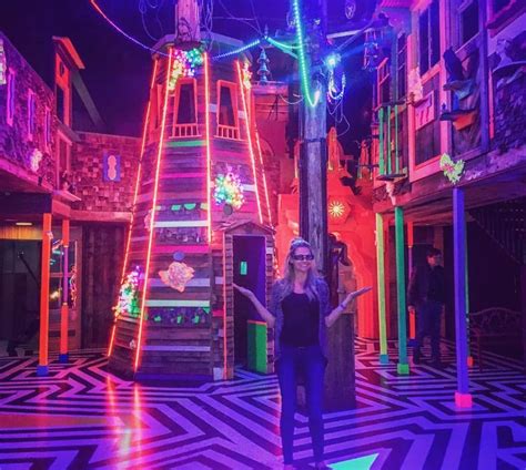 meow wolf - Google Search New Mexico Road Trip, Meow Wolf, Carlsbad Caverns National Park, Us ...
