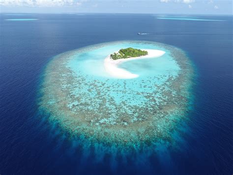 Atoll Reef Definition