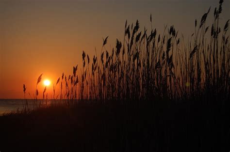 Cape May Point Sunset Photograph by Matt Heintz - Fine Art America