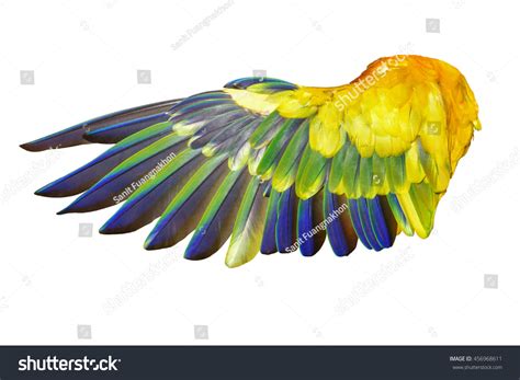 Angel Wings Isolated On White Background Stock Photo 456968611 | Shutterstock