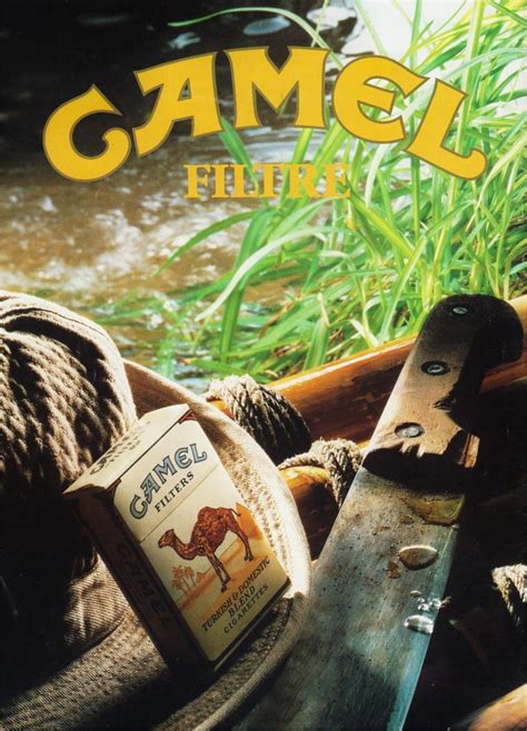 Camel (1986) Pub, Camel, Filters, Playbill, Camels, Bactrian Camel