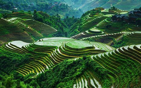 Banaue Rice Terraces Wallpapers - Top Free Banaue Rice Terraces Backgrounds - WallpaperAccess