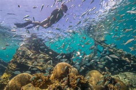 Research Natural Area - Dry Tortugas National Park - Video