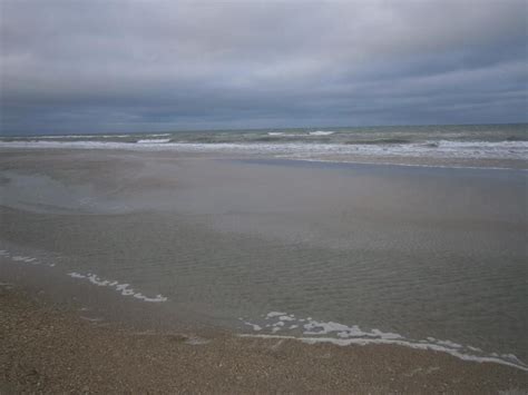 Beach at Merritt Island. #beaches #nature | Merritt island, Beach, Nature