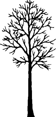 Leafless Tree Silhouette - ClipArt Best