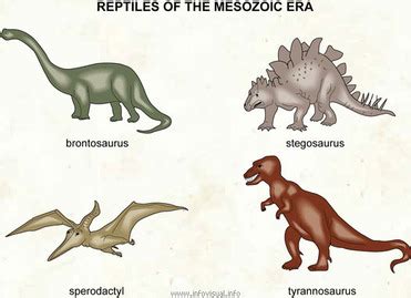 Mesozoic Era - Geography for kids