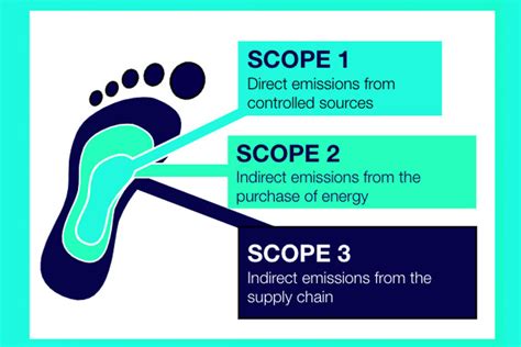 Sustainability and Carbon Footprint: A Beginner’s Approach - Nuevo ...