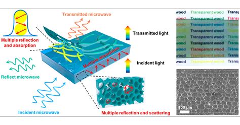 Transparent and Flexible Electromagnetic Interference Shielding Materials by Constructing ...