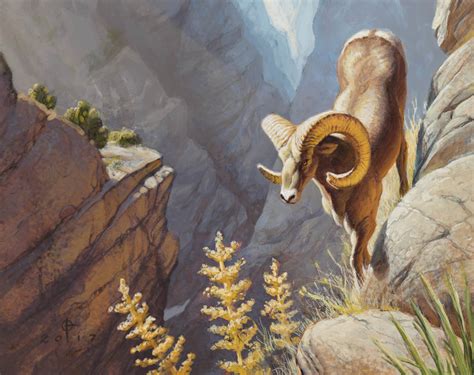 Desert Bighorn Sheep — Expedition Art