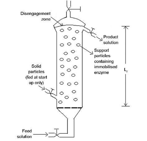 Schematic diagram of conventional fluidised bed bioreactor | Download ...