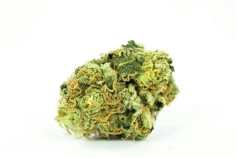 Strawberry Cough Strain of Marijuana | Weed | Cannabis | Herb | Herb