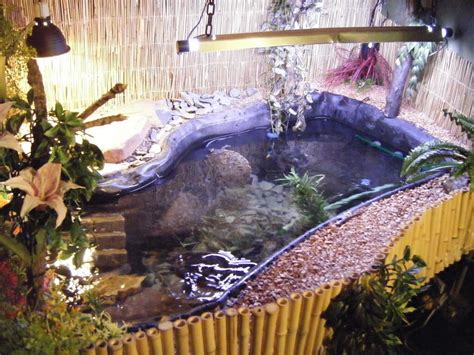 Indoor Turtle Pond | Indoor turtle pond... Aquatic Turtle Tank, Turtle ...