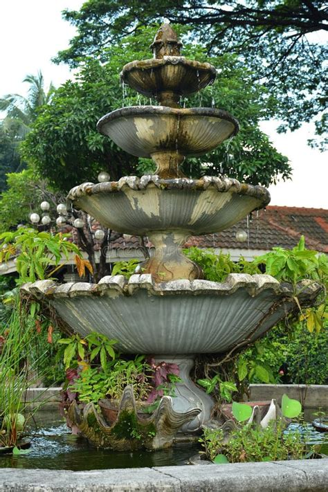 Decorative Outdoor Garden Water Fountain with Growing Plants Stock ...