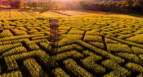 11 MILWAUKEE AREA CORN MAZES TO EXPLORE