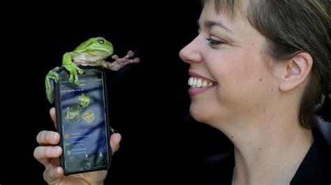 Swedish Museum of Natural History palaeontologists find Antarctic frog ...