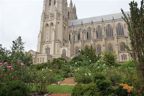 In and Out of My Garden: Bishop's Garden at the National Cathedral