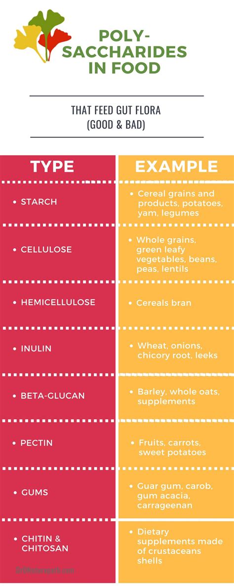 Polysaccharides Definition List Functions Food Examples