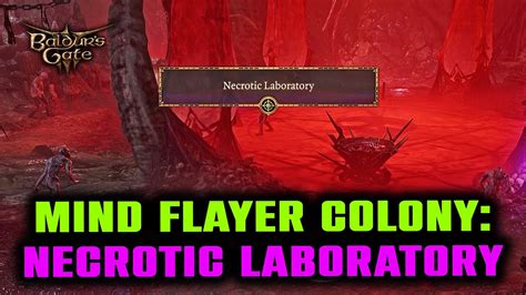 Mind Flayer Colony: Necrotic Laboratory Complete Guide - Puzzle & Secrets - Baldur's Gate 3 ...