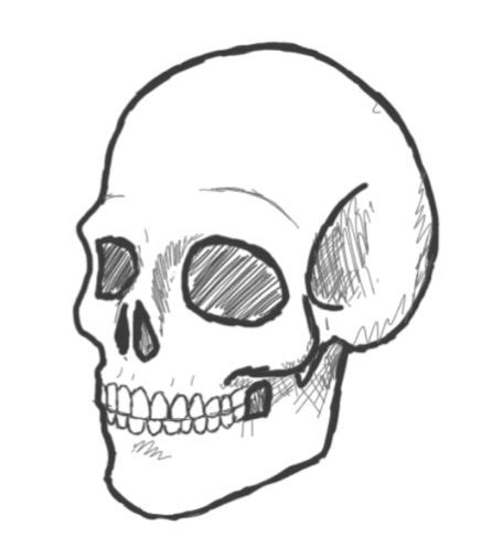 sideways skull drawing - Google Search | Easy skull drawings, Skull ...