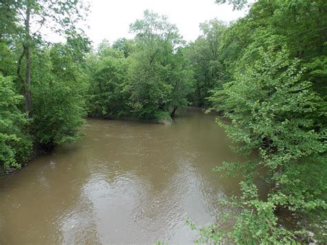 The Schramm Journey: Cache River State Natural Area