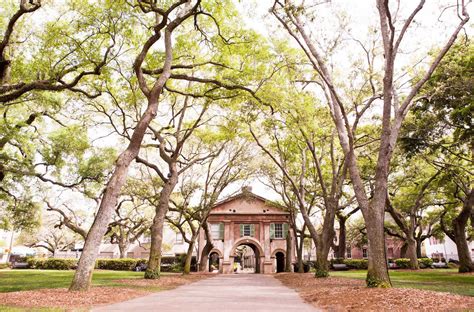 Dive into Charleston's deep-rooted history. Charleston Farmers Market ...