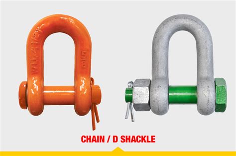 What Are the Different Types of Shackles for Lifting and Rigging?