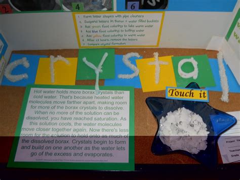 Borax Crystal Science Fair Project