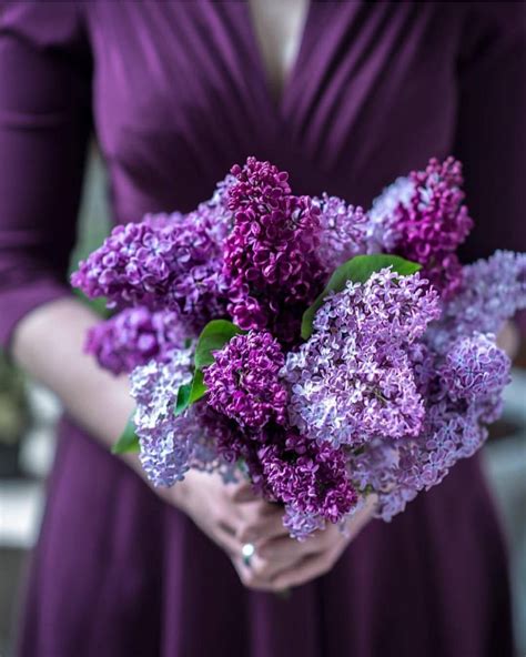 Joyful Puttering | Lilac flowers, Purple wedding bouquets, Lilac