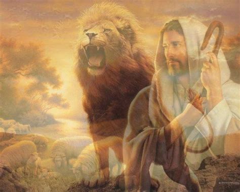 The lion and the lamb | Christian pictures, Jesus, Bible pictures