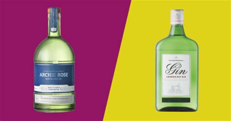 Difference Between Cheap & Expensive Gin, Explained By Experts