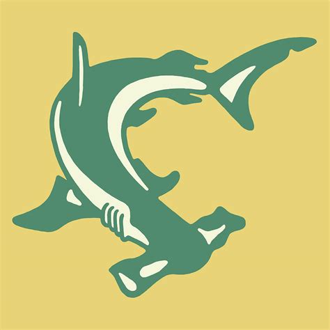 Hammerhead Shark Drawing by CSA Images - Pixels