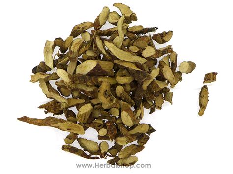 Grass-Leaf Sweetflag Rhizome (Shi Chang Pu) – HerbalShop