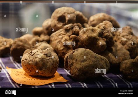 Alba white truffle fair italy hi-res stock photography and images - Alamy