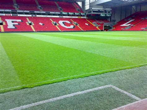 Anfield grass | Aravind Subramaniam | Flickr