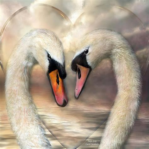 Swan Love by Carol Cavalaris | Swan love, Animal paintings, Cross paintings