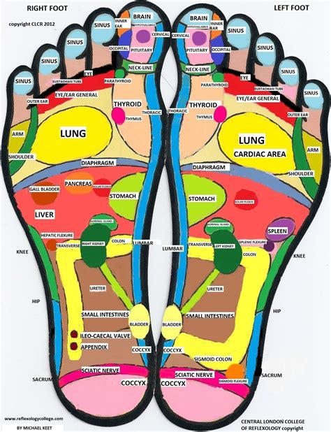 Chinese Reflexology Foot Chart